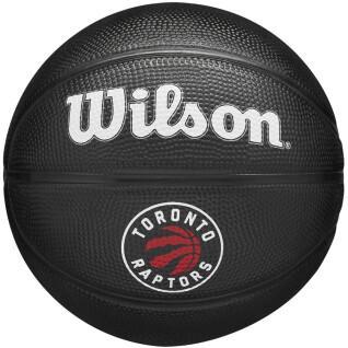 Mini Ball nba Toronto Raptors